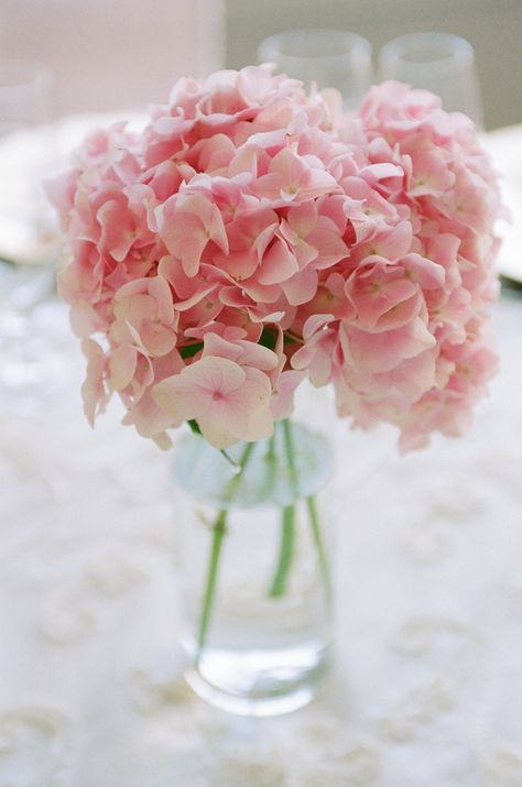 Pink Hydrangea Centerpiece, Pink Hydrangea Centerpieces, Hydrangea Wedding Centerpieces, Light Pink Hydrangea, Pink Hydrangea Bouquet, Pink Hydrangea Wedding, Hydrangea Centerpiece Wedding, White Hydrangea Centerpieces, Hydrangea Centerpieces