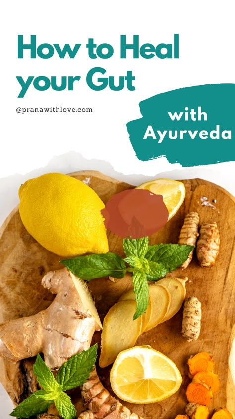 Ayurvedic Gut Healing, Ayurveda Cleanse, Dosha Recipes, Vata Recipes, Ayurvedic Recipes Vata, Healing Gut, Ayurvedic Food, Ayurveda Pitta, Healing Your Gut