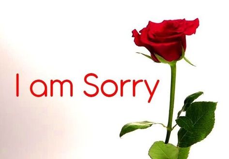 I'm sorry dp Sorry Dp, Sorry Wallpaper, Sorry Photo, Sorry Images, Love Images With Name, Kissing Quotes, Animal Portraits Art, I Am Sorry, Photo Download