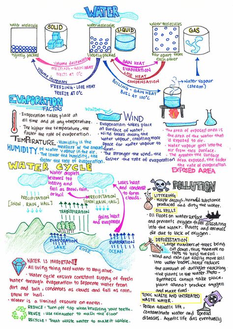 All about Water! https://cherhazel.wordpress.com/2016/08/22/all-about-water/ Thermodynamics Notes, Chemistry Models, The Water Cycle, All About Water, Chemistry Classroom, High School Chemistry, Chemistry Lessons, Chemistry Notes, Chemical Substances