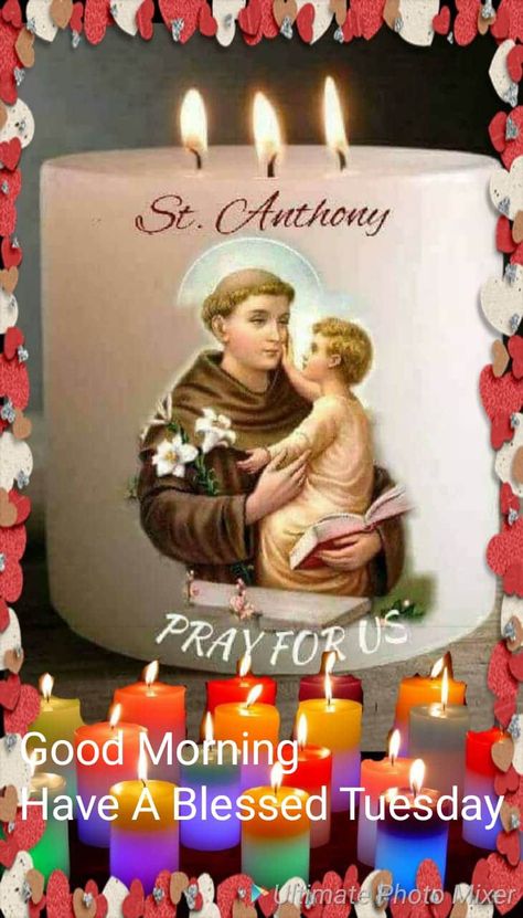 St Anthony's Feast, Psalms Quotes, Funny Good Morning Messages, Good Morning Dear Friend, St Anthony's, Mary Pictures, Saint Anthony Of Padua, Merry Christmas Quotes, Lovely Images