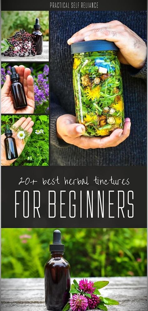 Step into the world of herbal healing with our 20+ Best Herbal Tinctures for Beginners. Dive into Herbs for Health & Herbal Medicine Recipes and discover how to make tinctures from chamomile, bee balm, and more. Herbal Self Care, Herbs For When Youre Sick, Easy Herbal Remedies, Selling Herbal Products, Tincture Recipes For Energy, Medicinal Tincture Recipes, Herbal Tylenol Alternative, Diy Tinctures Herbal Medicine, Herbal Tincture Recipes Healing Herbs