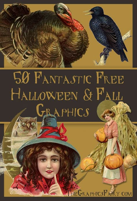 50 Fantastic Halloween and Fall Graphics! Great for making your own Printables, Cards, or Craft Projects! Vintage Spooky Aesthetic, Vintage Halloween Printables, Spooky Pictures, Happy Halloween Pictures, Vintage Halloween Images, Fall Graphics, Halloween Clips, The Graphics Fairy, Graphics Fairy