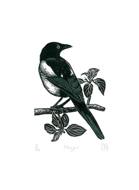 Magpie Tattoo, Magpie Art, Woodcut Tattoo, Lino Art, Procreate Ipad Art, Jackdaw, Curious Creatures, Where I Live, Birds Tattoo