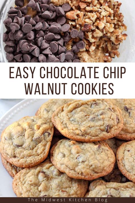 Cookie With Nuts Recipes, Chewy Chocolate Chip Walnut Cookies, Chocolate Chip With Walnut Cookies, Walnut And Chocolate Chip Cookies, Walnut Chocolate Chip Cookies Recipes, Chocolate Chip Cookies Walnut, Easy Walnut Cookies, Chocolate Chip Walnut Cookies Recipe, Chocolate Chip Cookies With Nuts Recipes