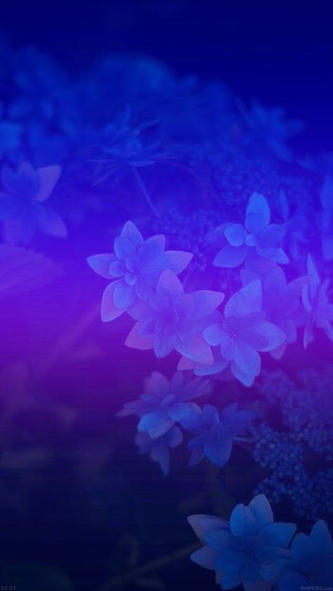 #purple #blue #flowers  #madebyniki Blue Violet Wallpaper, Purple And Blue Wallpaper, Blue And Purple Wallpaper, Purple Blue Flowers, Cell Art, Artistic Backgrounds, Blue Flowers Background, Android Backgrounds, Blueish Purple