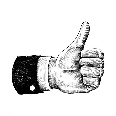 Hand drawn thumb up isolated on white background | premium image by rawpixel.com Thumbs Up Reference, Hand Bases Drawing, Thumbs Up Drawing, Cool Drawing Base, Drawing On Hand, Study Sketches, Hatch Drawing, Bases Drawing, Experiential Art