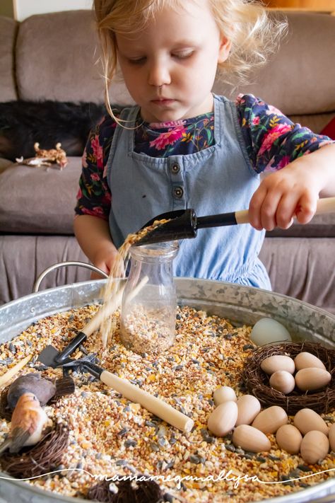 Feed The Bird Sensory Bin, Bird Theme Sensory Bin, Nature Sensory Table, Bird Seed Sensory Bin, Egg Sensory Play, Chicken Sensory Bin, Seed Sensory Bin, Bird Sensory Bin, Animal Sensory Play