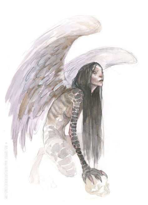 Faeries Are Taking Over.... An Artbook By Iris Compiet Iris Compiet, Dead Of Night, Faery Art, Mystical Creatures, The Veil, Creature Design, Creature Art, Fantasy Creatures, Mythical Creatures