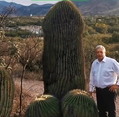 Cactus Around The Fur, Crazy Funny Pictures, Goofy Pictures, Instagram Funny Videos, Internet Memes, Photography Poses For Men, Funny Profile Pictures, Instagram Funny, Real Funny Jokes