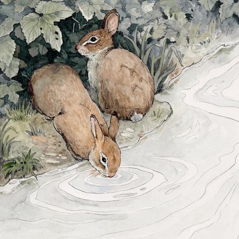 Ewa Mąka (@ewamaka.art) • Instagram photos and videos Storybook Art, Bunny Art, Whimsical Art, Cute Illustration, Animal Illustration, Pretty Art, Animal Paintings, Watercolor Illustration, Rabbits