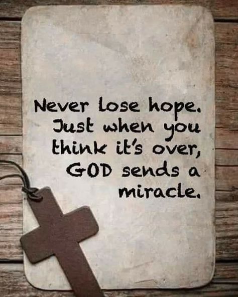 Never Lose hope. Just when you think it's over, GOD sends a- miracle. – popular America’s best pics and videos on the site https://americasbestpics.com Word Of Wisdom Lds, Never Lose Hope, Words Of Wisdom Quotes, Thanksgiving Quotes, Lost Hope, Faith Prayer, Christian Quotes Inspirational, Prayer Quotes, Religious Quotes