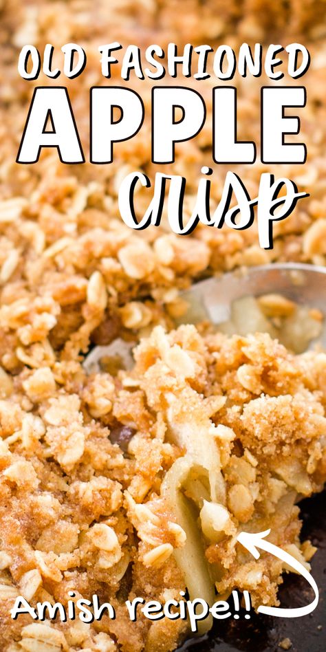 Apple Crisp With Oatmeal Packets, Apple Crisp Oatmeal Topping, Apple Crisp Recipe With Oats 9x13 Pan, Amish Apple Crisp Recipe, Oatmeal Apple Crisp Recipe, Vintage Apple Crisp Recipe, Apple Crisp Martha Stewart, Apple Crisp Recipe With Canned Apples Pie Fillings, Easy Apple Crisp With Quick Oats