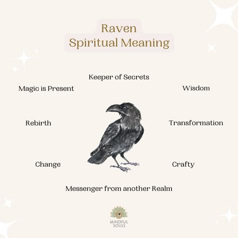 Raven Spiritual Meaning, Animal Omens, Raven Spirit Animal, Bird Meaning, Spirit Animal Meaning, Animal Meanings, Nature Witch, Spiritual Animal, Animal Spirit Guides