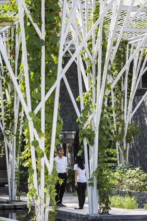 Vegetable Trellis,© Hiroyuki Oki Trellis Architecture, Vegetable Trellis, Green Facade, Landscape Structure, Garden Pavilion, Landscape Construction, Tree Artwork, Canopy Design, Side Garden