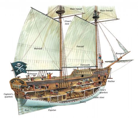 Pirate Ship Cross Section, Pirate Sleeping Quarters, Anatomy Of A Pirate Ship, Pirate Ship Prison Cell, Pirate Ship Anatomy, Inside A Pirate Ship, Pirate Ship Captains Quarters, Ship Anatomy, Brigantine Ship