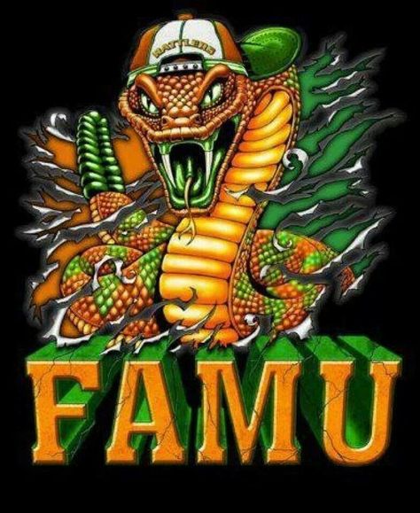 Awesome Hbcu Band, Famu Rattlers, Georgia Dawgs, Dream College, Dorm Life, Cinnamon Rolls Homemade, Dream School, University Logo, College Logo