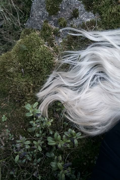 Kite Aesthetic, Long White Hair, The Last Unicorn, High Elf, The Dark Crystal, Beltane, Throne Of Glass, The Grove, Dragon Age