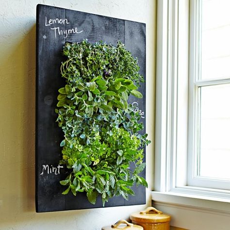 3 Ways to Go Vertical with Your Garden | Williams-Sonoma Taste Living Wall Planter, Growing Herbs Indoors, Herb Wall, Vertical Garden Indoor, Vertical Wall Planters, Vertical Herb Garden, Vertical Garden Diy, Vertical Gardens, Walled Garden