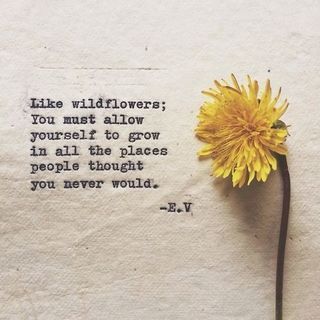 love this quote Wild Flower Quotes, Quote Relationship, Flower Quote, Quote Pictures, A Dandelion, Personal Growth Quotes, Growth Quotes, Flower Quotes, Nature Quotes