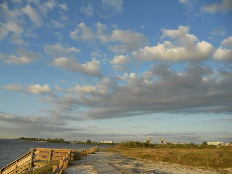 Apollo Beach Florida, Lakeside Park, Mangrove Forest, Beach Golf, Waterfront Restaurant, Dog Beach, Florida Travel, Skate Park, Beach Florida