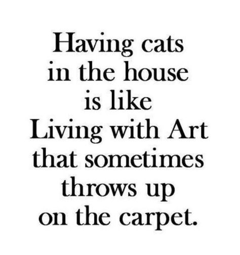 Living with Cats Cat Sayings, Cat Things, Cats Rule, Animal Fun, Cat Signs, Cat Quotes, True Life, A Quote, Note To Self