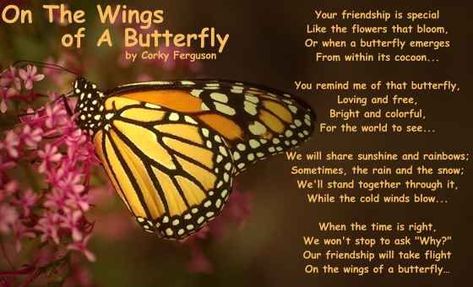 On The Wings Of A Butterfly Pictures, Photos, and Images for Facebook, Tumblr, Pinterest, and Twitter Butterfly Friendship Quotes, Christian Butterfly, Month Wallpaper, Butterfly Poems, Respect Relationship Quotes, Flower Poem, Religious Quotes Inspirational, Friend Quote, Friendship Quote