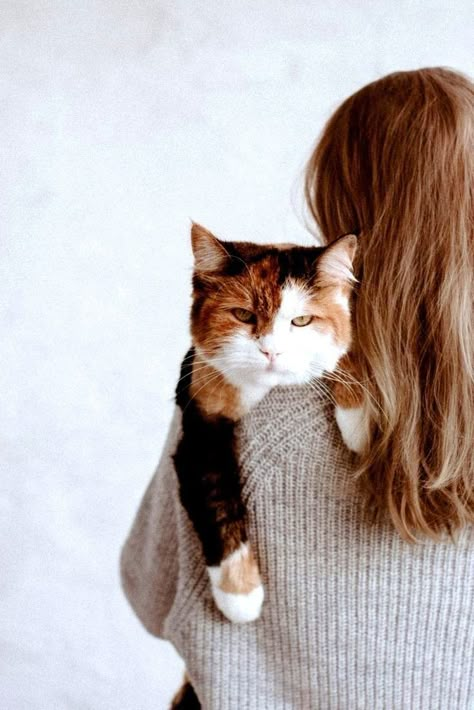 Pet Poses, Mom Photoshoot, Pet Portraits Photography, Family Pet Portraits, Christmas Pic, Cat Christmas Cards, Letter Jacket, Human Photography, Christmas Poses