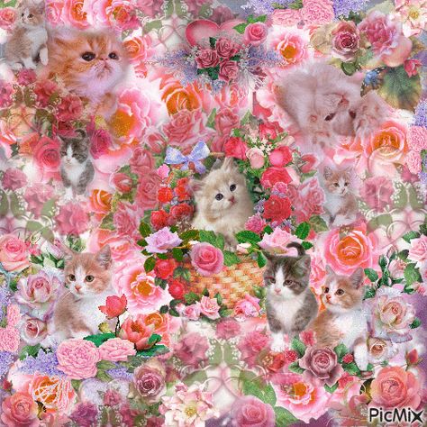 Flower Cat Bed, Dog Soup, Silly Gifs, Blingee Emo, Ig Pfps, Girly Graphics, Cat Collage, Aesthetic Artwork, Kitten Art