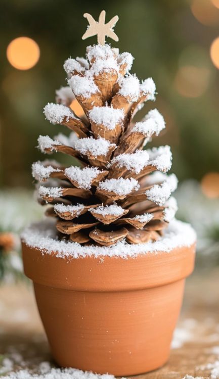 Lady combines pine cones with mini terracotta pots, creates the best Christmas gifts ever Mini Terracotta Pots Crafts, Terracotta Ornaments, Mini Terracotta Pots, Pot Ornaments, Pine Cone Tree, Mini Pine Cones, Beach Christmas Ornaments, Pine Cone Christmas Tree, Old Glass Bottles