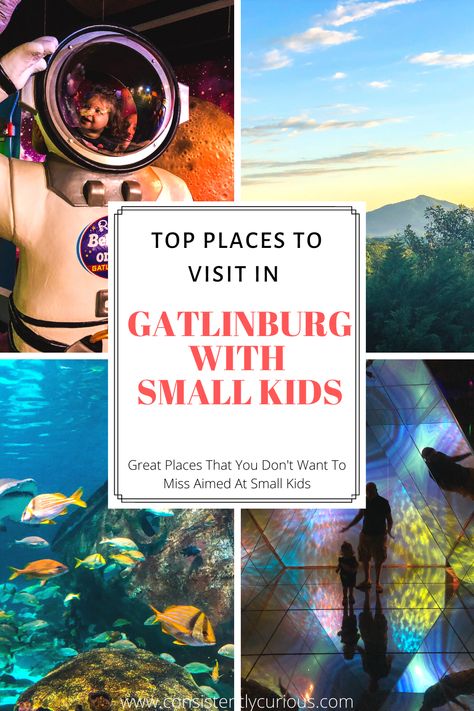 Things To Do in Gatlinburg with Small Kids Tennessee Family Vacation, Things To Do In Gatlinburg, Traveling With Toddlers, Smokey Mountains Vacation, Gatlinburg Vacation, City Farm, Tennessee Vacation, Gatlinburg Tennessee, Gatlinburg Tn