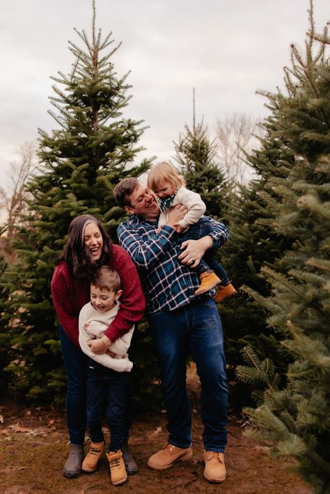 Family playing in a christmas tree farm during a family photoshoot Christmas Mini Session Poses, Christmas Tree Farm Photo Shoot Family Mini Sessions, Cozy Family Christmas Photos, Tree Farm Photoshoot Family, Family Tree Farm Photos, Family Tree Farm Christmas Pictures, Christmas Tree Mini Session, Holiday Mini Session Ideas Outdoor, Family Christmas Tree Farm Pictures