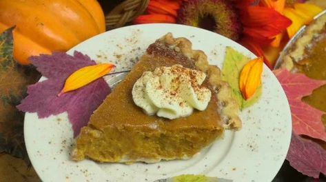 Whipped Pumpkin Pie, Pumpkin Pie Puree, Whipped Pumpkin, Brown Recipe, Thanksgiving Pumpkin Pie, Pumpkin Pie Recipe, Homemade Pumpkin Puree, Alton Brown, Ginger Snap Cookies