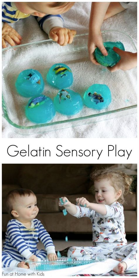 All ages gelatin sensory play! Great activity for young siblings to play together. From Fun at Home with Kids Blue Activities, Animals Activities, Home With Kids, Toddler Sensory, Play Together, Messy Play, Kids Sensory, Toddler Play, Toddler Fun