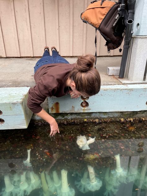 Elementary Science Teacher Aesthetic, Animal Scientist Aesthetic, Marine Scientist Aesthetic, Marine Biology Career, Conservation Biology Aesthetic, Marine Biologist Outfit, Biology Lab Aesthetic, Conservation Aesthetic, Environmental Science Aesthetic