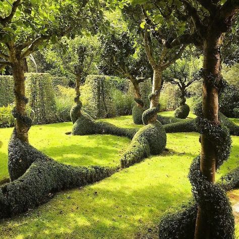 EUROPEAN ANTIQUES on Instagram: "C L I P P E D Muehlenbeckia complexa (maidenhair vine) twisting around the trunks of apple trees, located in the gardens of Le Grand Launay, France 📷️ by @seb_gardener via @james_todman⁠ *⁠ *⁠ *⁠ #maidenhairvine #designidea #topiary #legrandlaunay #garden #muehlenbeckia #clipped #topiarist #inspiration #appletree #landscape #landscaper #landscapedesign #gardendesign #gardeninspiration #vine #formalgardendesign #france #apple #justsofrench #appletrees #gardenanti Art Maximalism, Boxwood Tree, Formal Garden Design, Topiary Garden, Apple Trees, Garden Pathway, French Garden, Fresh Cut Flowers, Maximalism