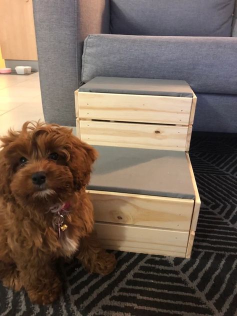 Small dog? DIY these dog steps from IKEA crates - IKEA Hackers Ikea Dog, Ikea Crates, Dog Ramp For Bed, Diy Dog Crate, Dog Window, Dog Diy, Dog Stairs, Pet Stairs, Diy Dog Bed