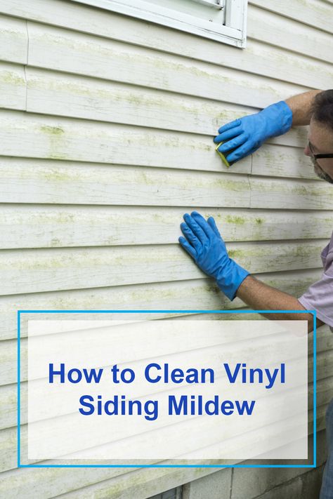 How to Clean Vinyl Siding Mildew Gift Website, Cleaning Vinyl Siding, Cleaning Naturally, Cleaning Organization, Hardwood Floor Cleaner, Remove Rust, Stain Removers, Cleaning Painted Walls, Homemade Cleaners