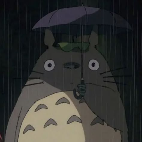 Art Studio Ghibli, Ghibli Characters, Studio Ghibli Characters, Memes Video, Studio Ghibli Art, Ghibli Art, My Neighbor Totoro, Funny Pics, Best Memes