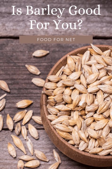 Barley Nutrition Facts, Barley Benefits, Barley Water, Barley Grain, Pearl Barley, Barley Flour, Barley, Healthy Choices, Nutrition Facts