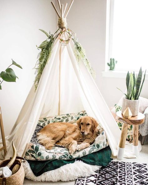 Boho Dog Area, Doggie Nook, Creative Dog Bed, Cat Bed Ideas, Dog Room Design, Dog Teepee, Dog Den, Dog Bedroom, Pet Room