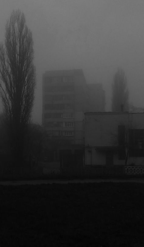 Inside Out Wallpaper, Cold Photography, Dark Naturalism, Dark Landscape, Europe Aesthetic, Dark Nature Aesthetic, Dark Paradise, Gray Aesthetic, The Fog