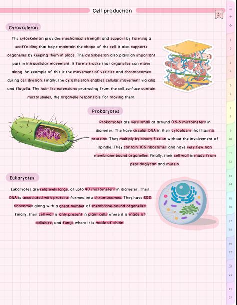 #cute #aesthetic #biology #notes #study #student Geology Notes, Aesthetic Biology Notes, Aesthetic Biology, Aesthetic School Notes, Biology Topics, Bio Notes, Notes Study, Aesthetic School, Biology Notes