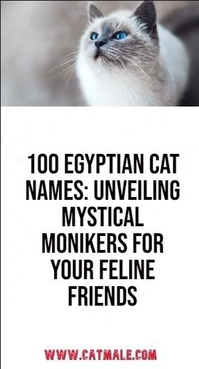 100 Egyptian Cat Names: Unveiling Mystical Monikers for Your Feline Friends Disney Cat Names, History Of Egypt, Unique Cat Names, Beloved Movie, Disney Cats, Egyptian Cat, Egypt History, Female Male, Unique Cats