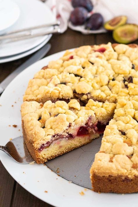 Plum Cake is a delicious coffee cake made with a simple batter, fresh plums, and a cookie-like nut-free streusel topping! This traditional German plum crumb cake is so easy to make from scratch and can also be baked on a sheet if you need to feed a crowd. #plumcake #germanplumcake #plumcrumbcake #coffeecake #baking #cake What To Do With Plums Recipe, Plums Recipes Dessert, Plums Recipes, German Coffee Cake, Berry Cakes, German Plum Cake, Moist Lemon Cake Recipe, Plum Crumble, Streusel Cake