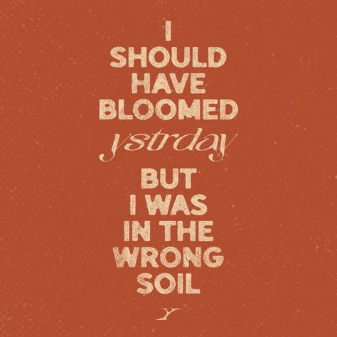 🥀 would you say being a late bloomer is an: Late Bloomer, April 4, Content Creation, Creative Studio, Boutique, On Instagram, Quick Saves, Instagram, Bloomer