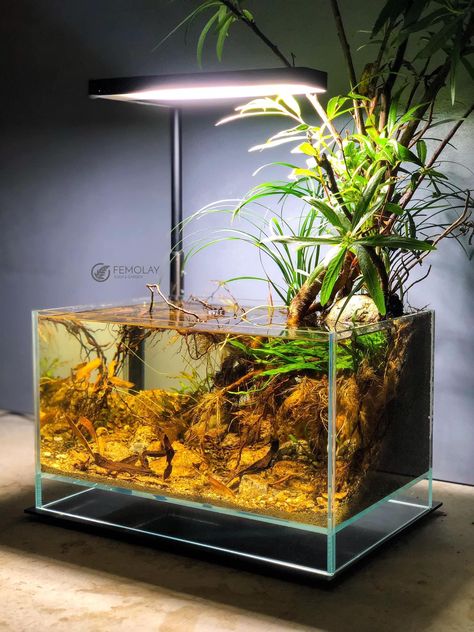 Terrarium Inspiration, Aquascape Ideas, Biotope Aquarium, Gecko Terrarium, Aquascape Design, Diy Fish Tank, Nano Aquarium, Batman Pictures, Aquarium Ideas