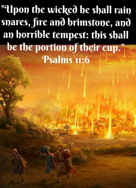 Psalms 11:6 (KJV)  Upon the wicked he shall rain snares, fire and brimstone, and an horrible tempest: this shall be the portion of their cup. Revelation Art, Fire And Brimstone, Last Days Bible, Psalm 11, Kjv Verses, Joel 2, Revelation 6, Mary Statue, Christian Posters