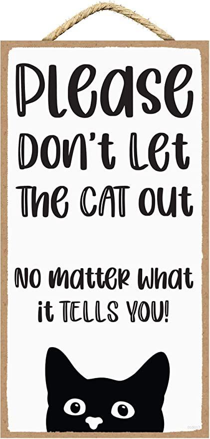 Cat Room Decor, Cats Outside, Cat Home, Cat Enclosure, Cat Signs, Pet Signs, Cat Merchandise, Cute Signs, Home Sign