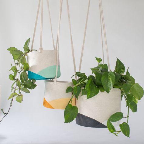 We are a design and manufacturing studio making baskets by hand in Brooklyn, NY. Paint Styles, Large Hanging Planters, Indoor Planting, Making Baskets, Planter Indoor, Handmade Holiday Gifts, Moss Art, Indoor Flowers, Decor Hanging